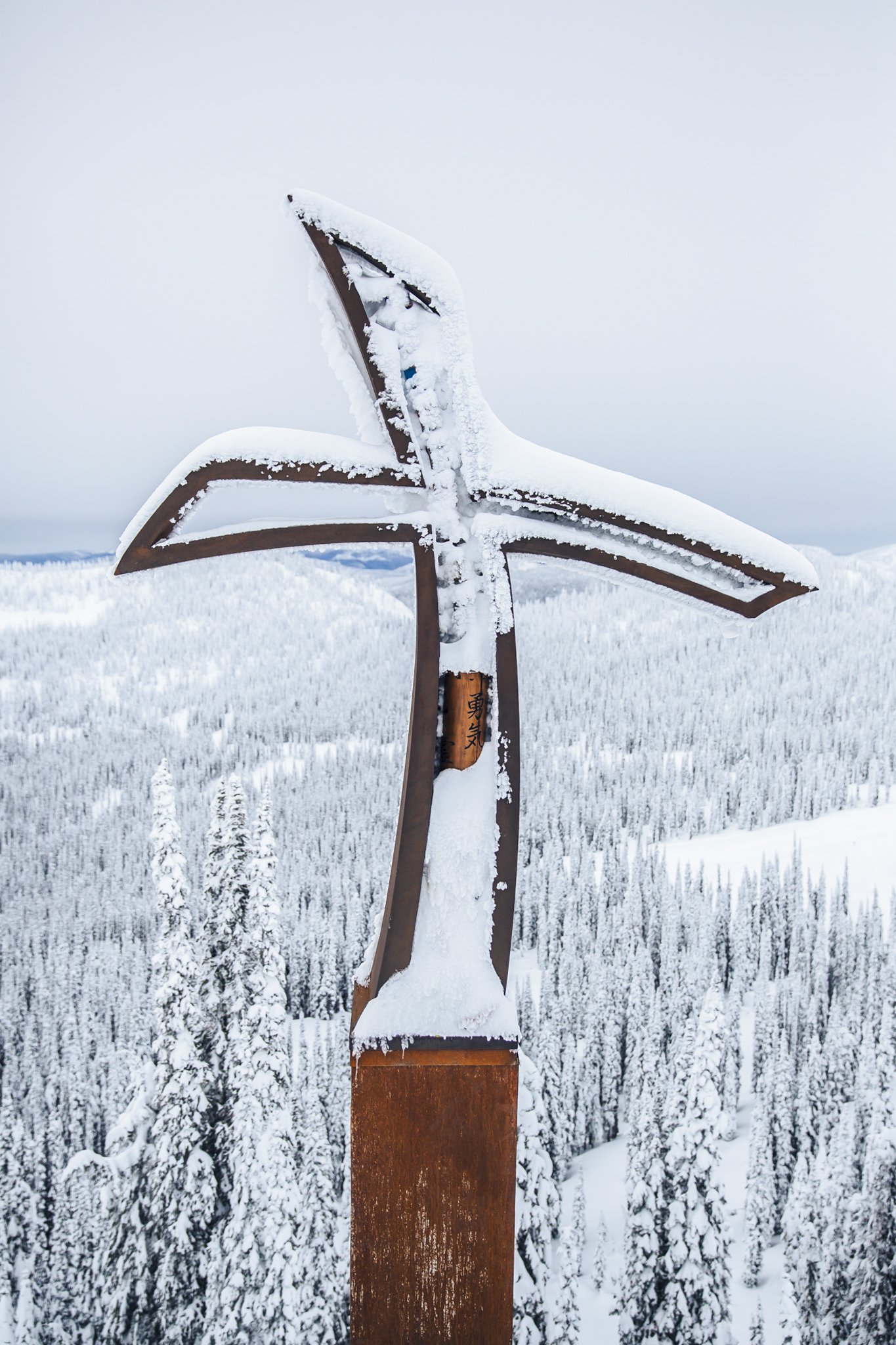 Enviro_Baldface_BC_Buck_2N3A2552.jpg