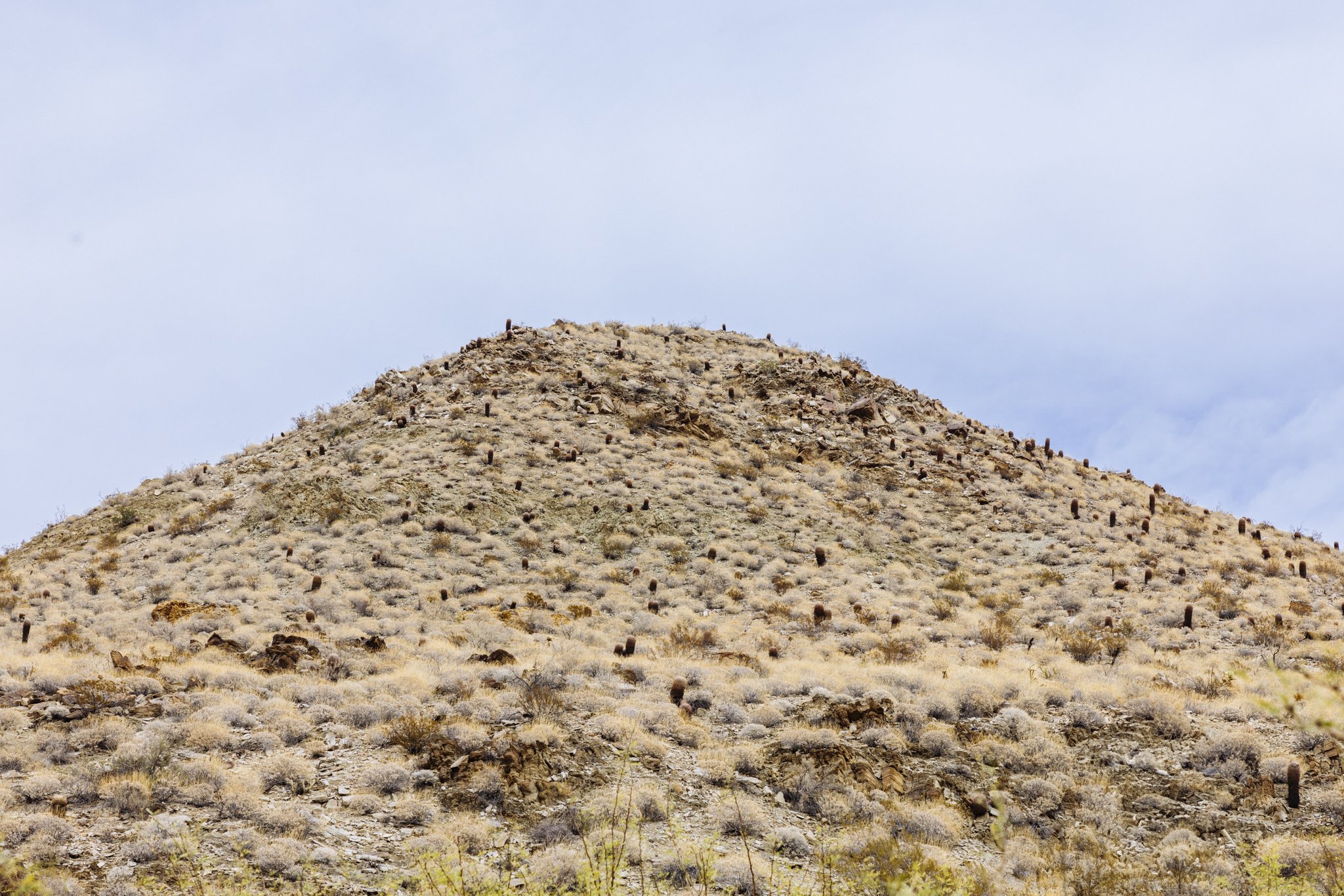 Hike_IndianReservation_PalmSprings_CA_2803_1.jpg