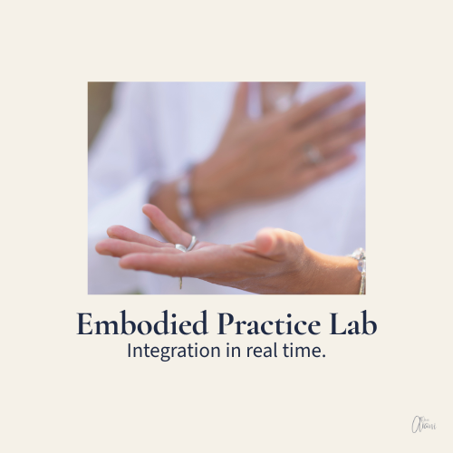 February 28 Embodied Practice Integration Alchemy Book Launch