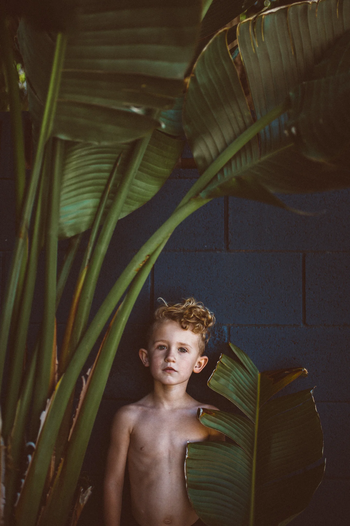 KELLY SUTTON - "Because, him"