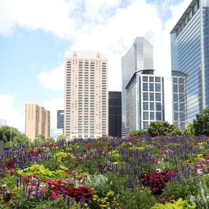 3 Day City Guide: Houston
