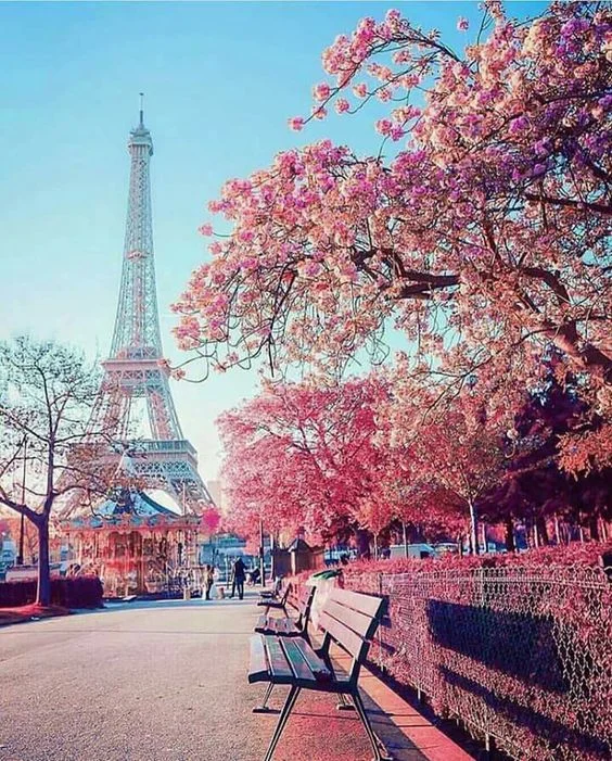 3 Day Travel Guide: Paris