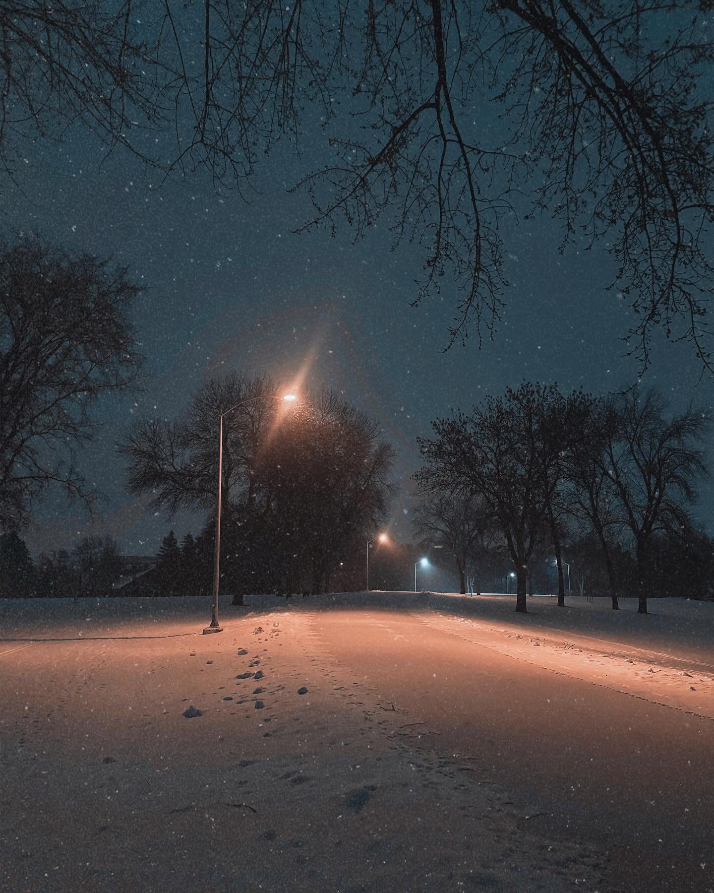 Keep it simple, take it easy. Bundle up and go look at how pretty winter can be! #lostinfargo