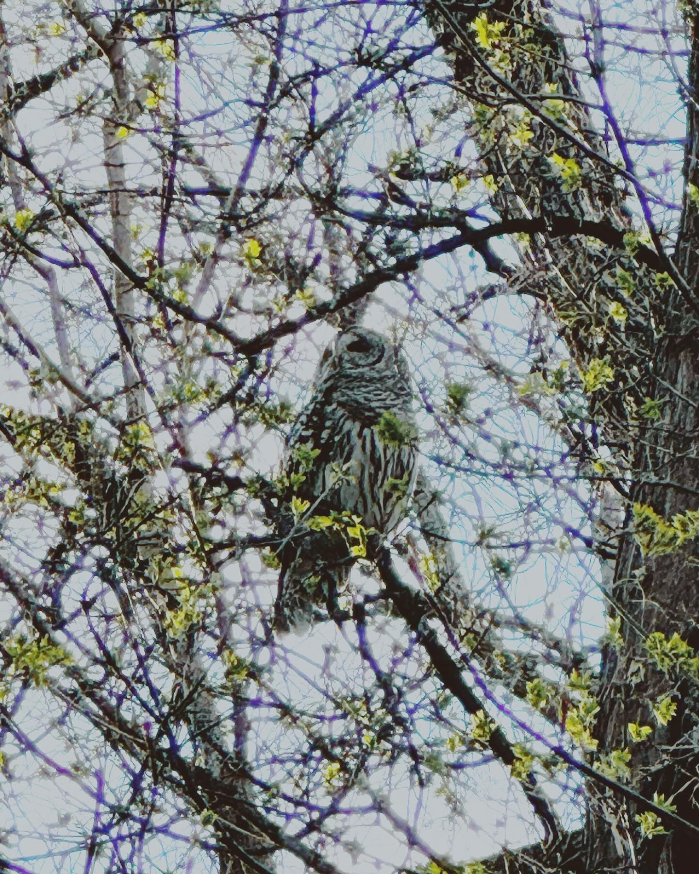 Signs of spring #lostinfargo