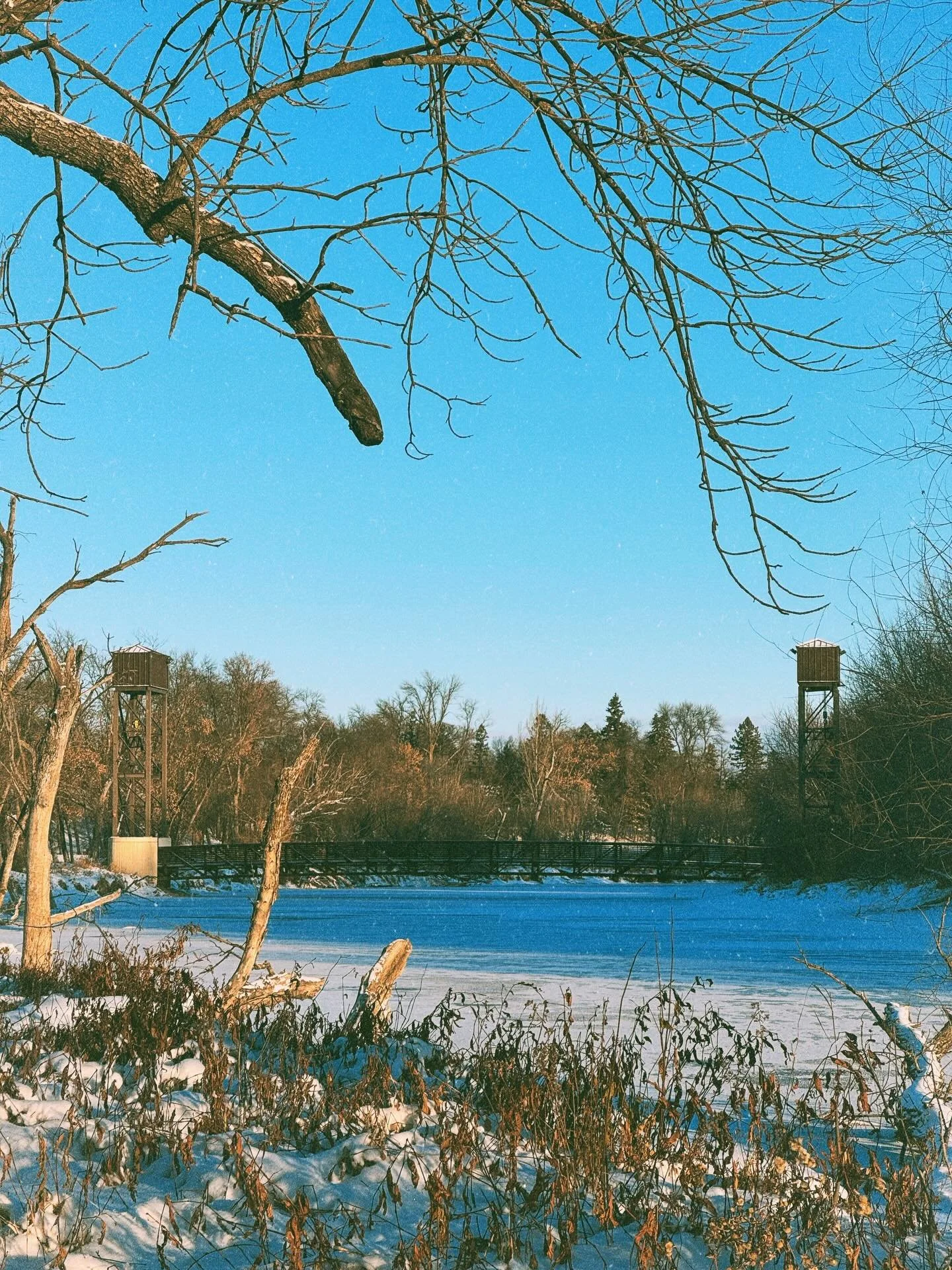 Crisp cold mornings in Fargo #lostinfargo