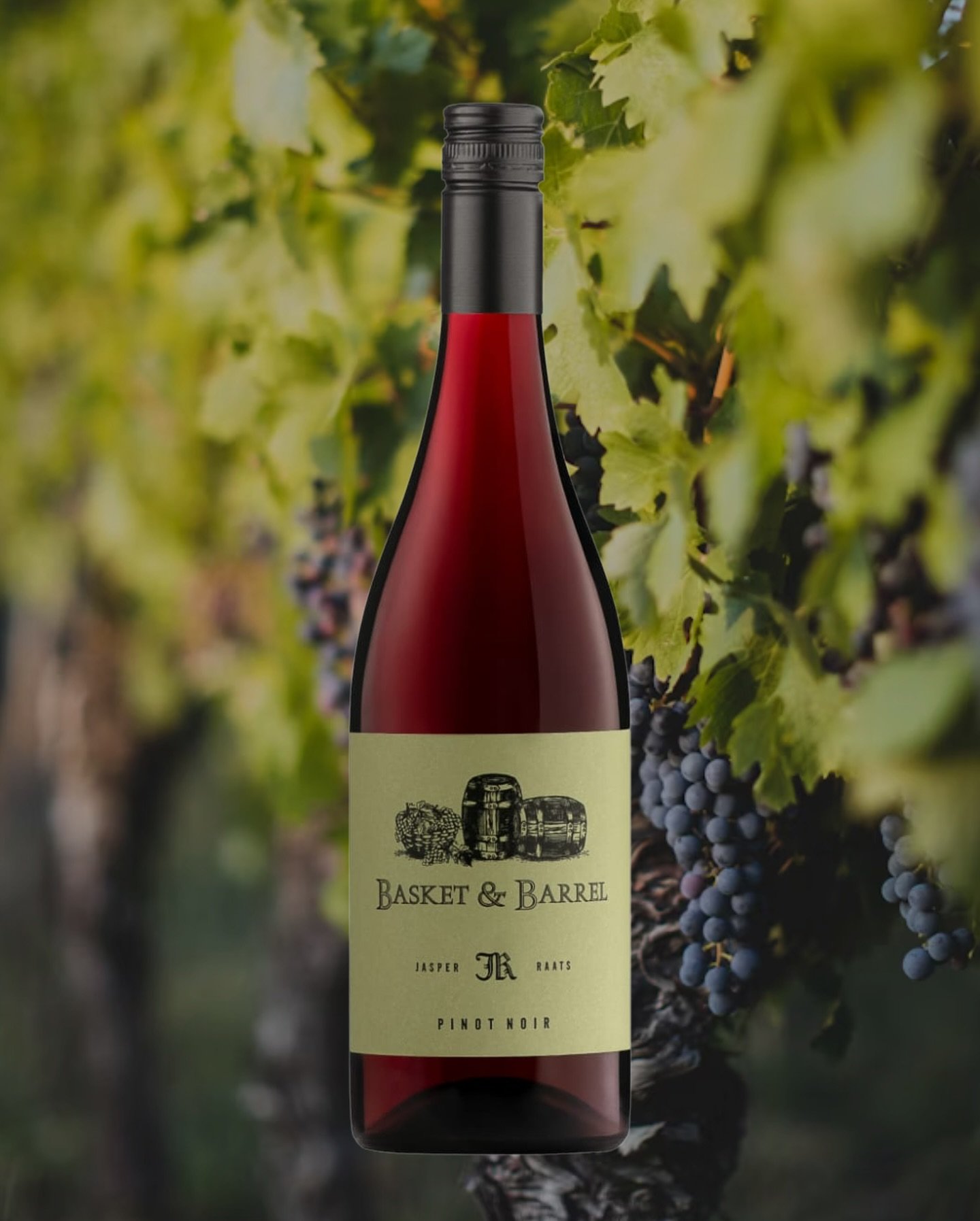 We&rsquo;re proud to launch the highly anticipated Basket &amp; Barrel Pinot Noir - handcrafted by Jasper Raats for the US market.

Organically farmed and rooted in biodynamic principles, this naturally fermented, basket-pressed Pinot is aged in olde