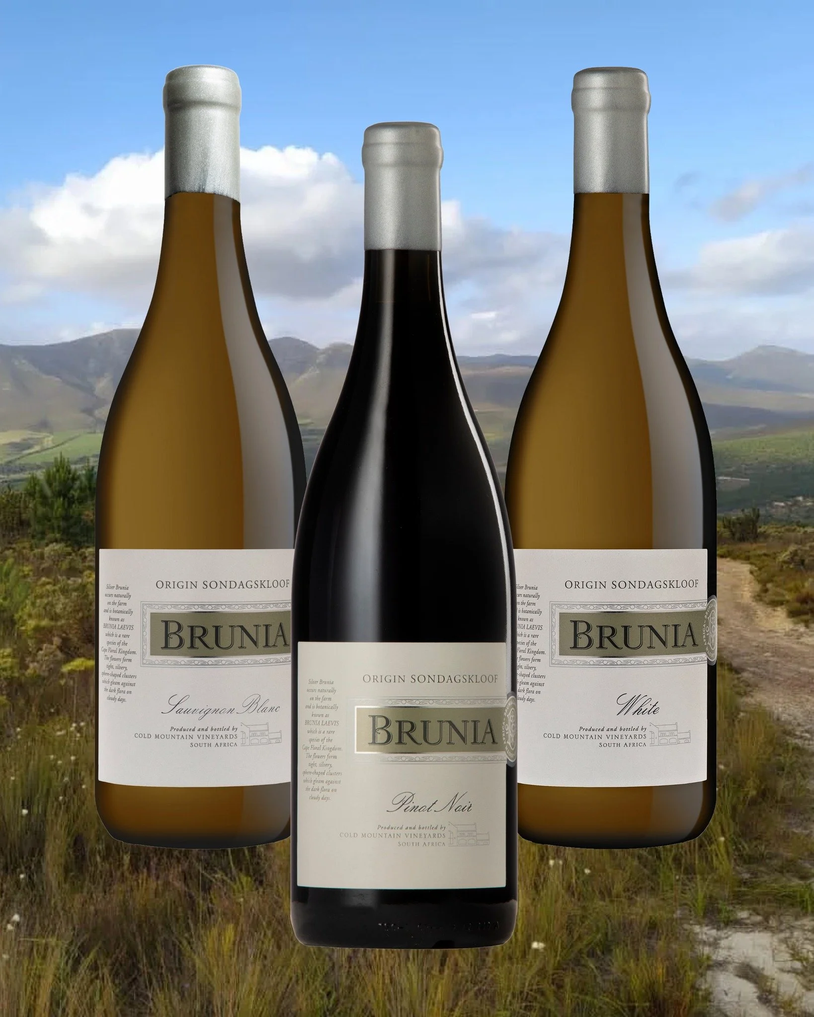 Brunia Wines, crafted by brothers Wade and Brett Sander in the cool slopes of Sondagskloof, is all about purity, elegance, and sustainable winemaking. Represented by Baobab Wines, their range showcases the very best of the region:

Sauvignon Blanc - 