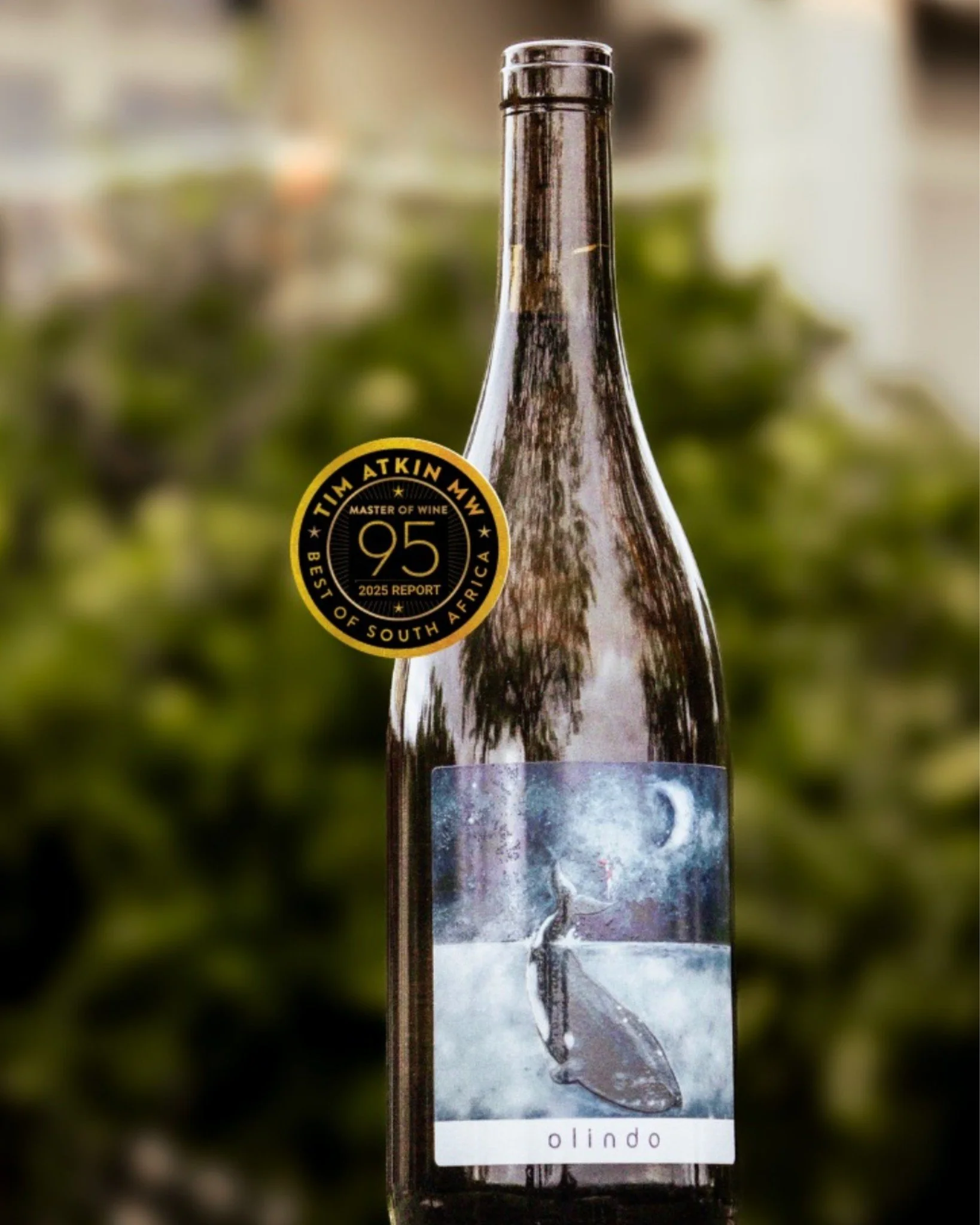 As Baobab Wines, we are excited to highlight Jasper Raats&rsquo; award-winning Ollindo Verdelho, recently celebrated with an impressive 95 points by Tim Atkin MW in his 2025 South Africa report. 

This exceptional wine showcases Jasper Raats&rsquo; d