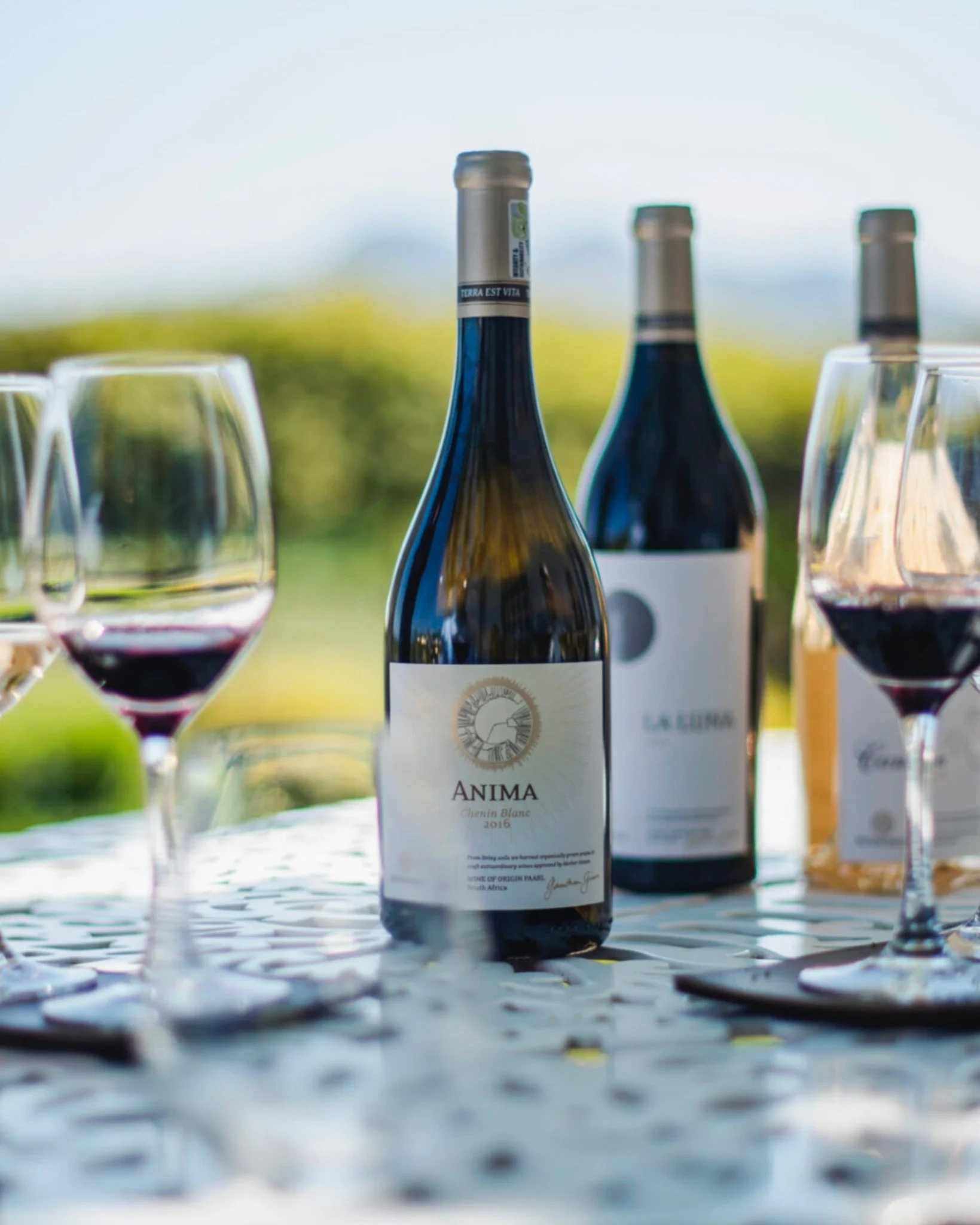 Avondale Anima -  The Soul of Chenin

Anima (meaning &ldquo;soul&rdquo; or &ldquo;life force&rdquo;) is Avondale&rsquo;s pure expression of Chenin Blanc. Expect bright notes of melon, pineapple, lime and honey, unfolding into layers of quince, peach 