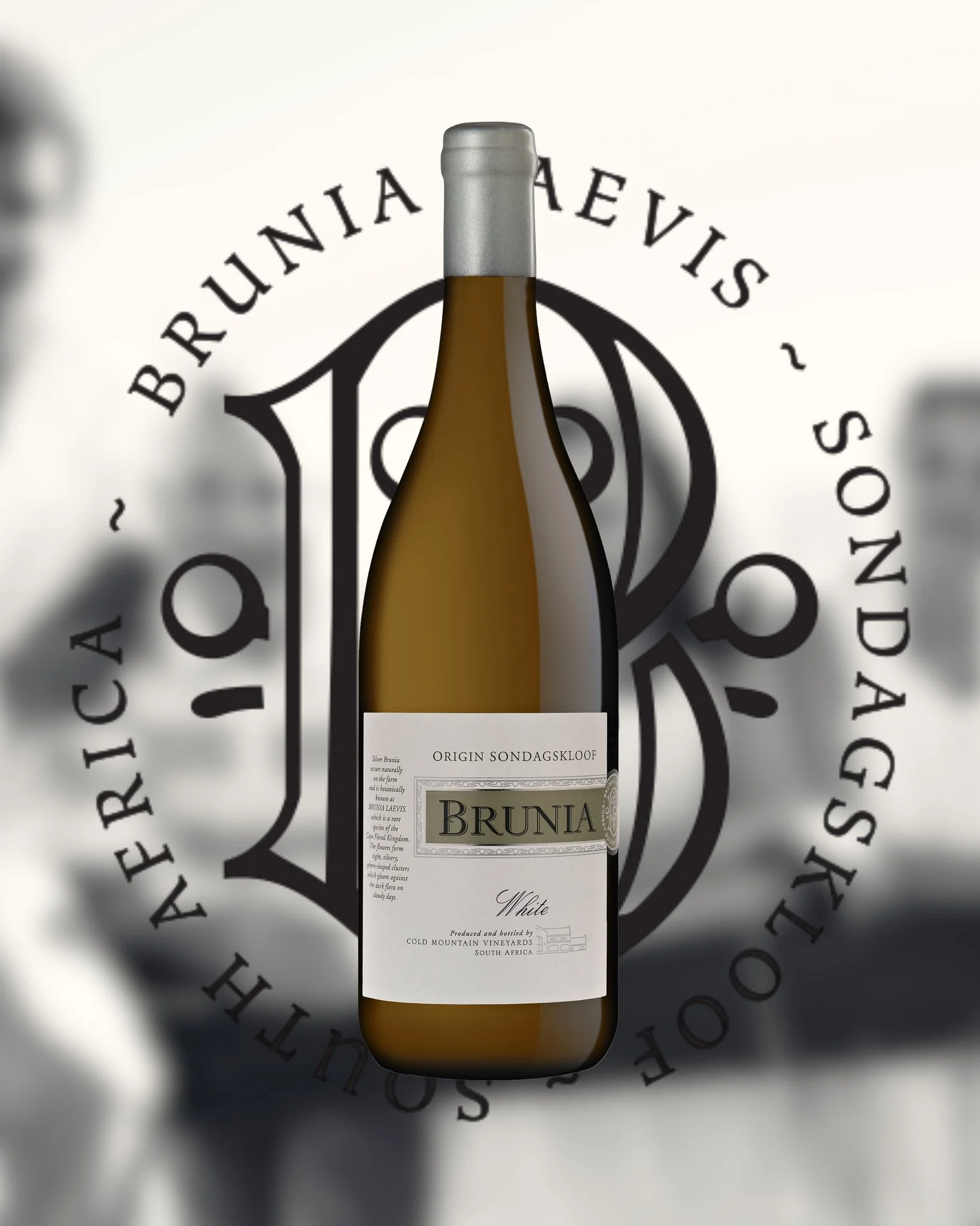 Brunia&rsquo;s White Blend is shaped by the cool, ocean-influenced terroir of Sondagskloof, where rugged soils and natural conditions allow the fruit to express clarity, freshness and mineral precision. A blend of Sauvignon Blanc and S&eacute;millon,
