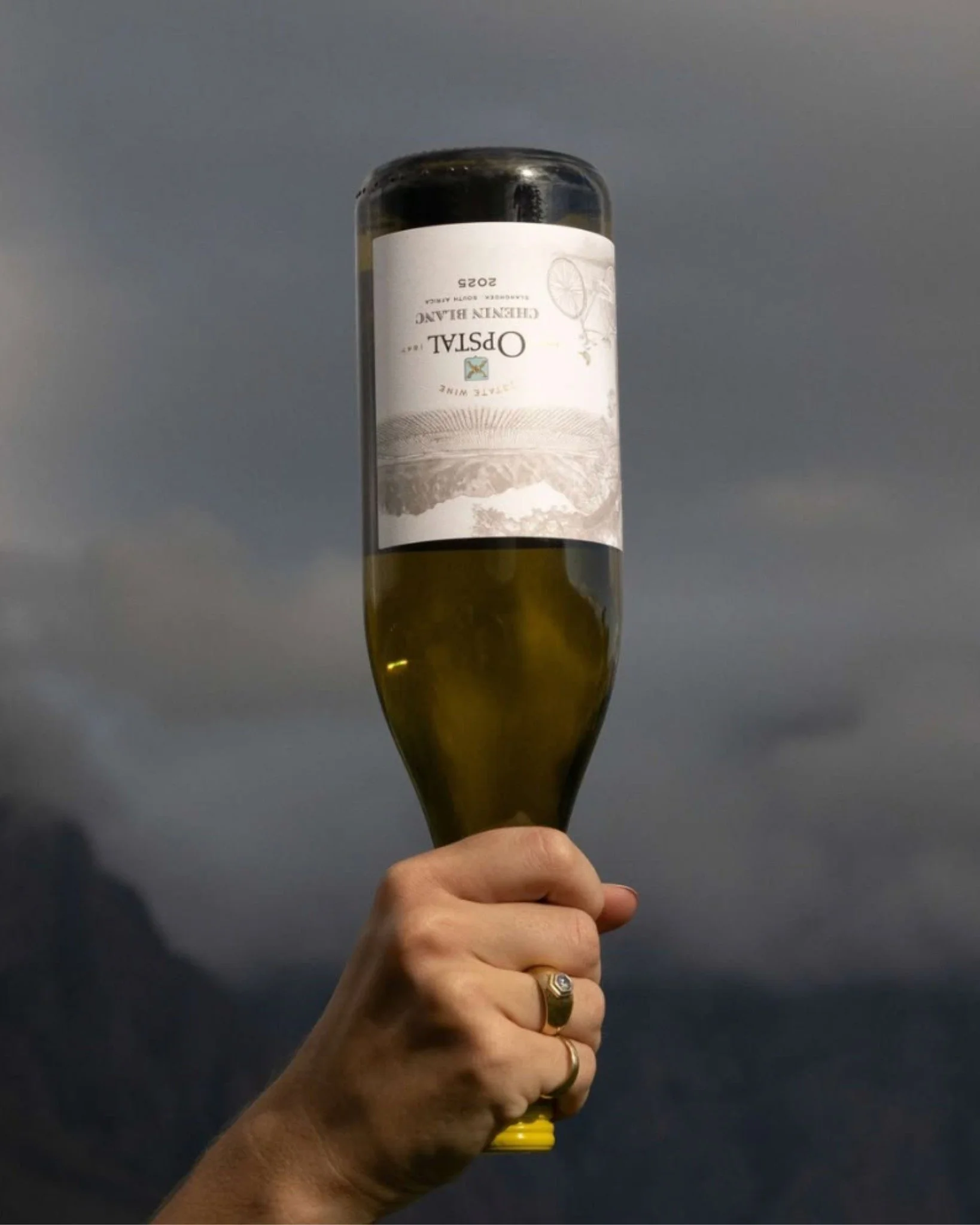 From the heart of the Slanghoek Valley comes a Chenin Blanc that feels both classic and effortlessly drinkable. The Opstal Estate Chenin Blanc  is a consistent expression of Breedekloof terroir - showing ripe pineapple, pear and citrus notes, balance