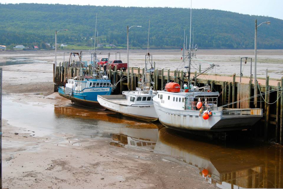 boats at the Advocate Wharf at low tide .jpg