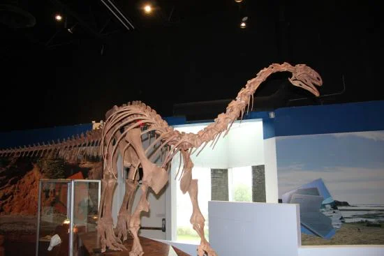 fundy-geological-museum.jpg