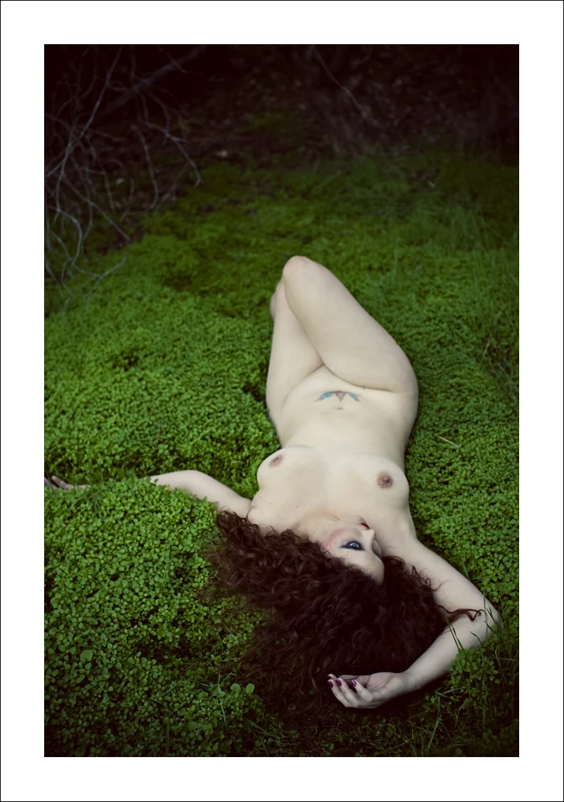 SH PHOTO
