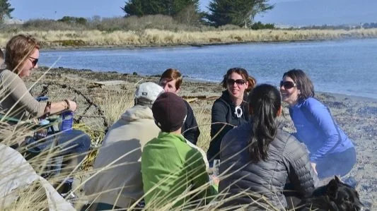 Humboldt_Bay_Social_Club_Collaboration_Work