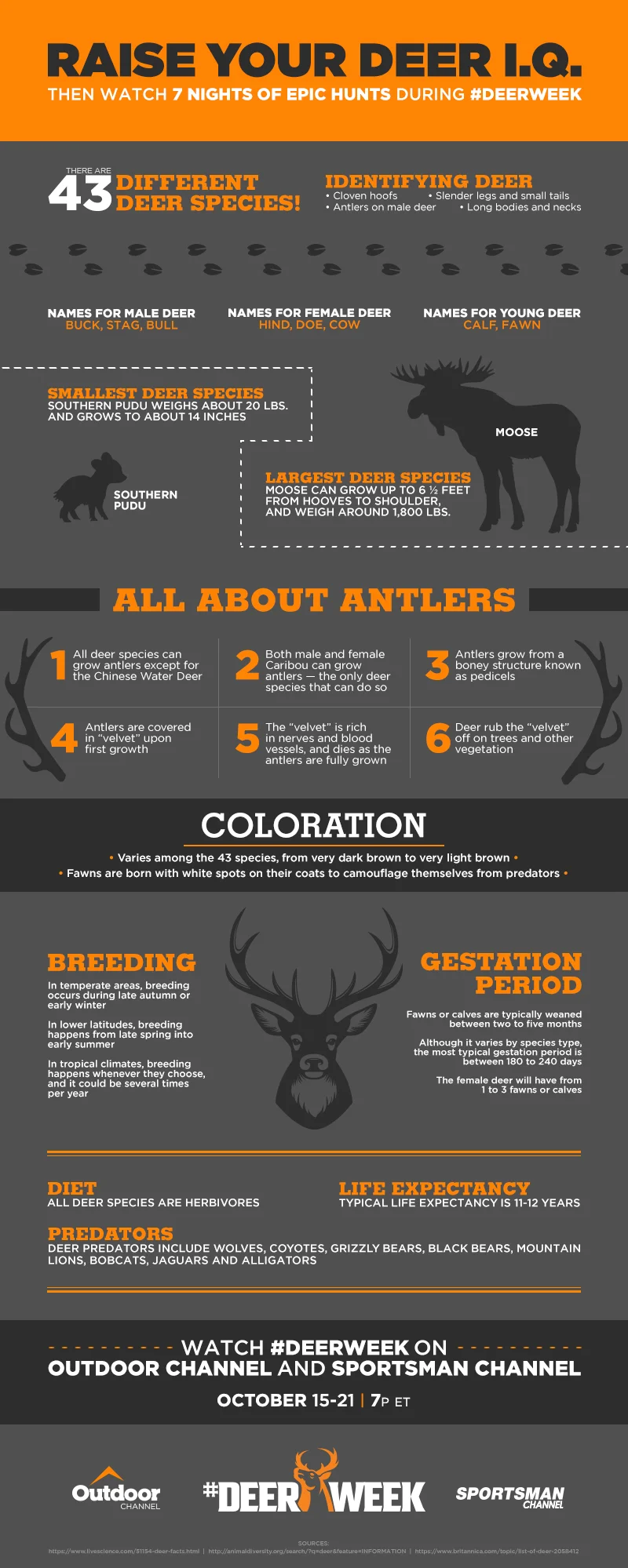 #DeerWeek_Infographic.jpg