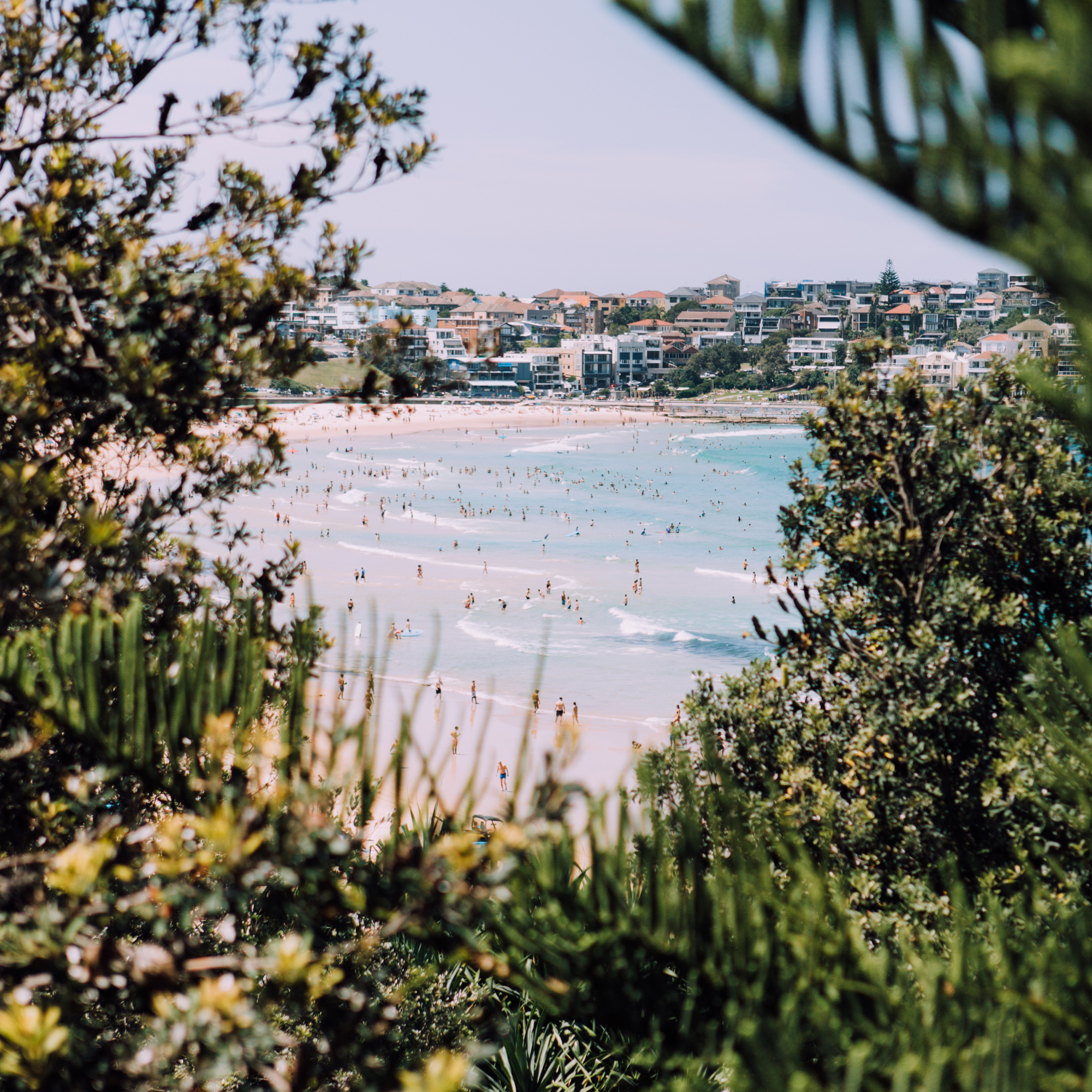 here's an artsy shot of bondi through some bushes ;)
