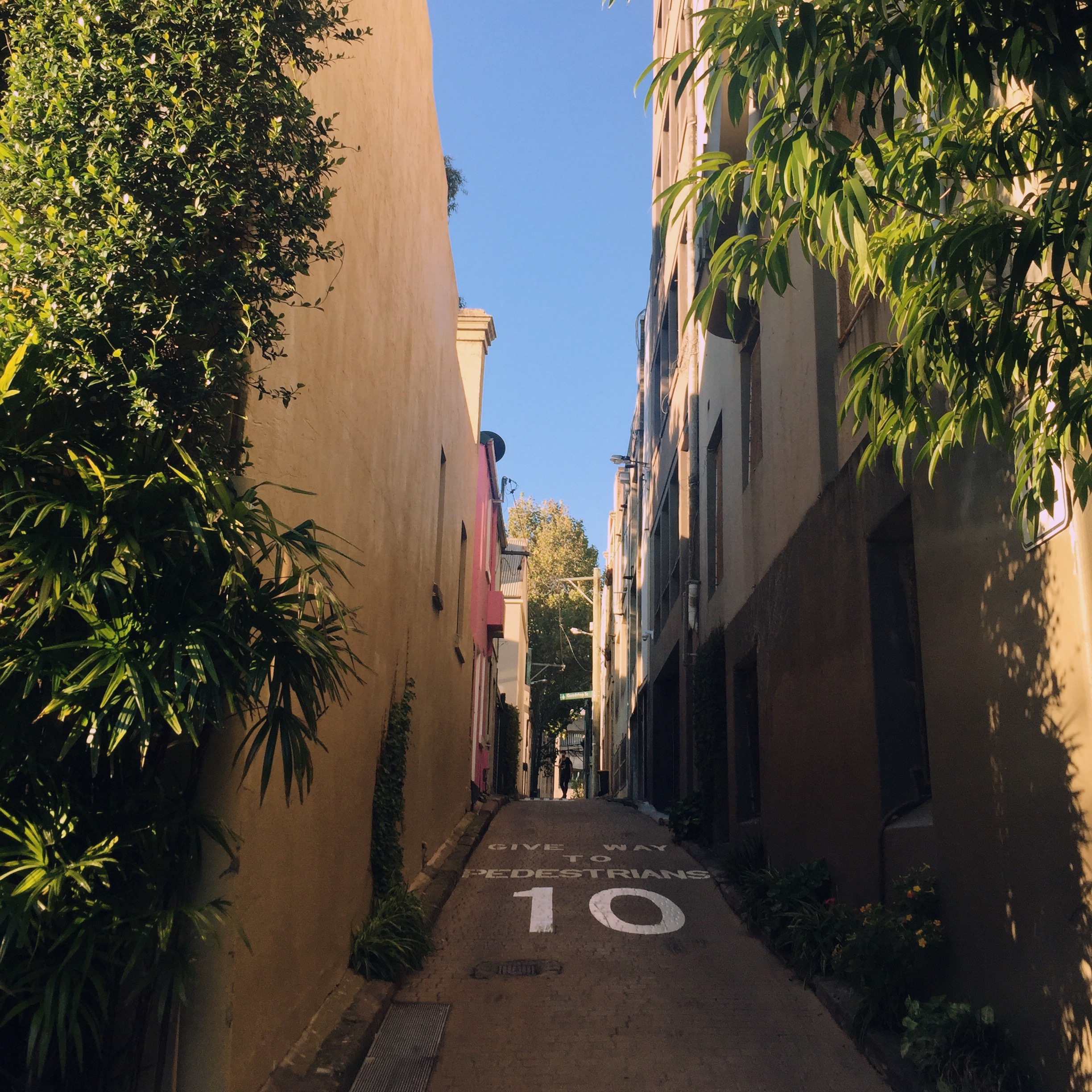 our pretty little street in surry hills. looks a bit italian!