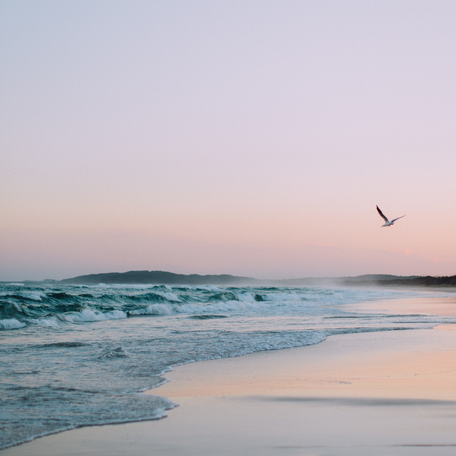 golden hour at tallows beach