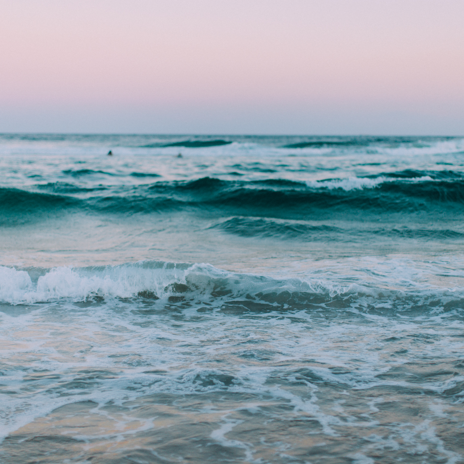 can you spot the surfers?