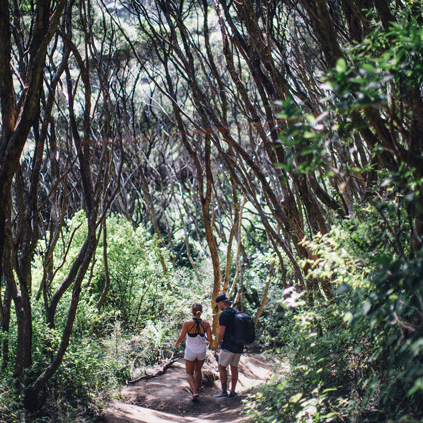 hiking through the eucalyptus trees to reach a beautiful secluded beach