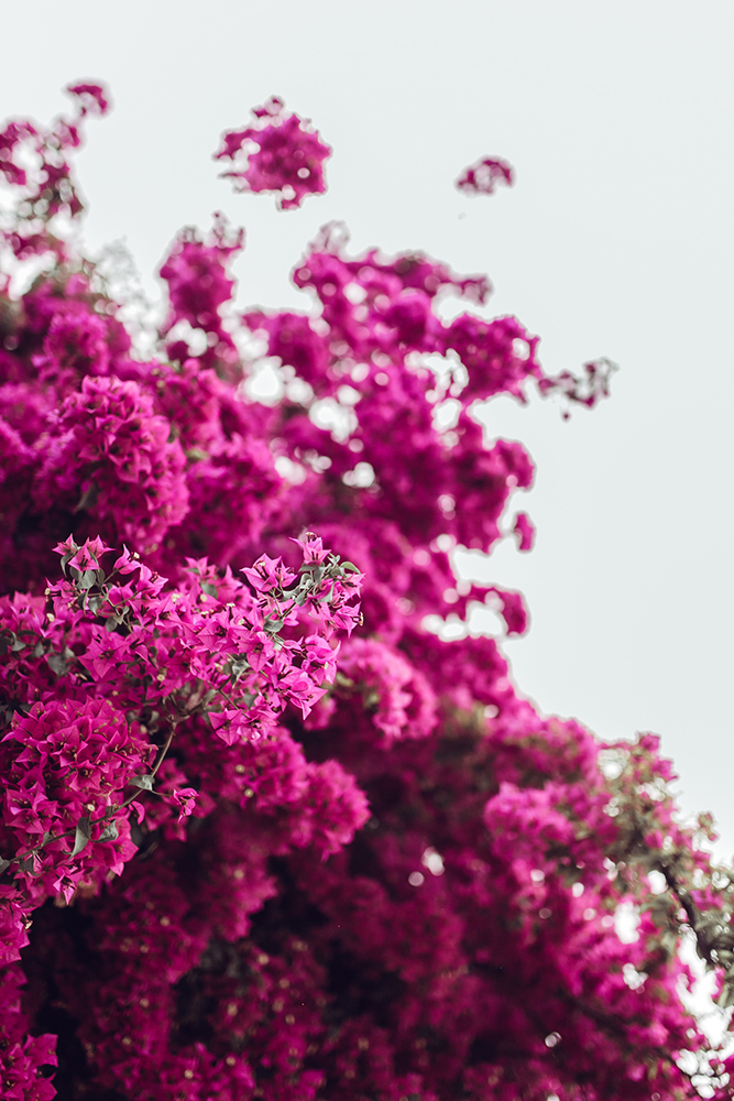 beauty on every corner