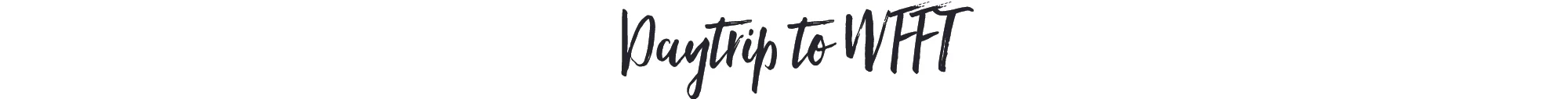 daytrip.jpg