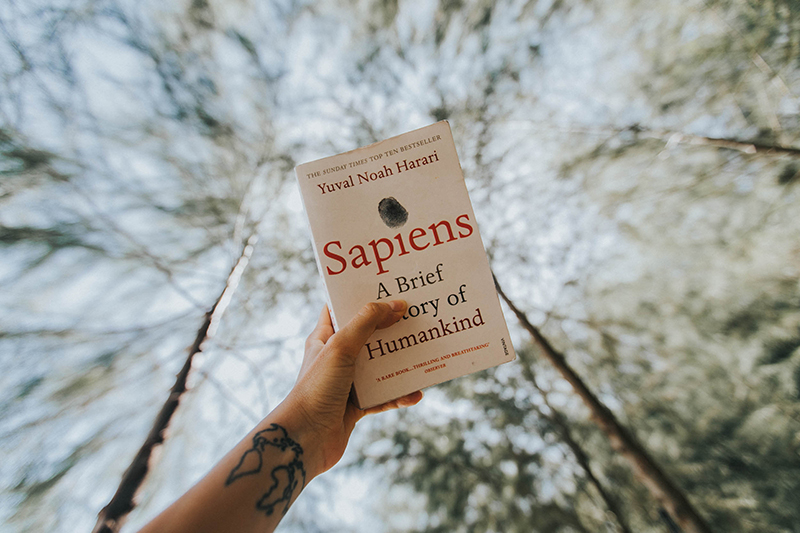 best holiday read i've ever had