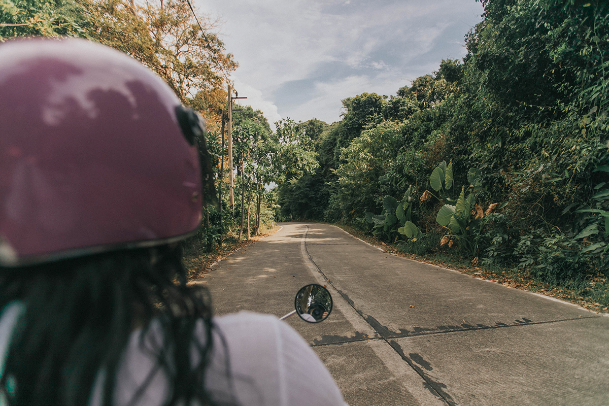 the pretty green winding roads
