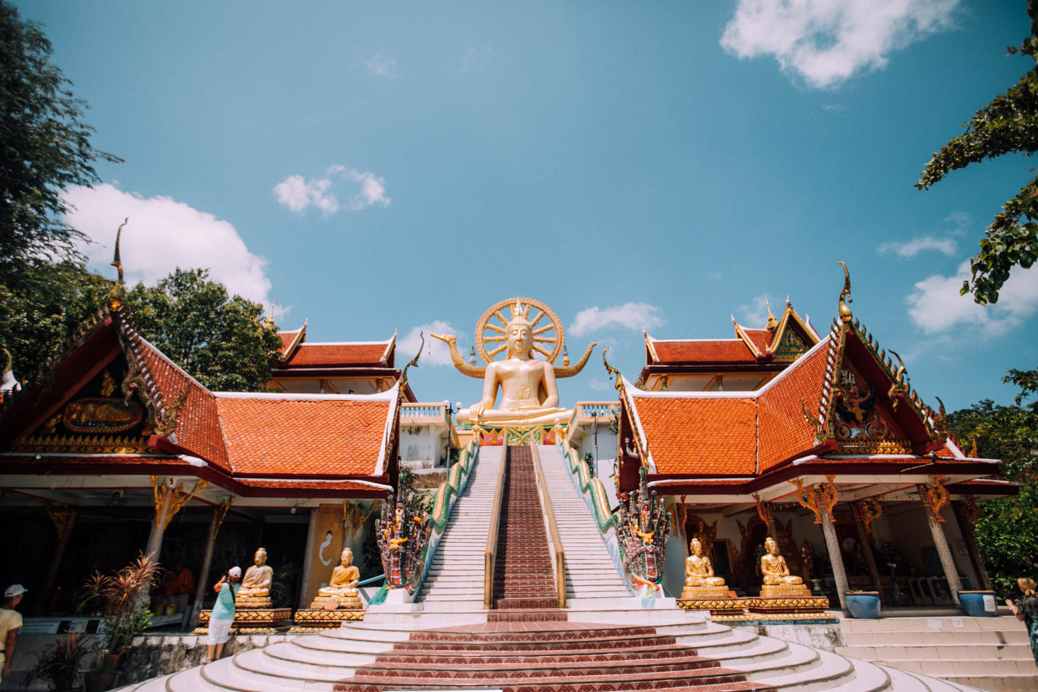 The Big Buddha temple