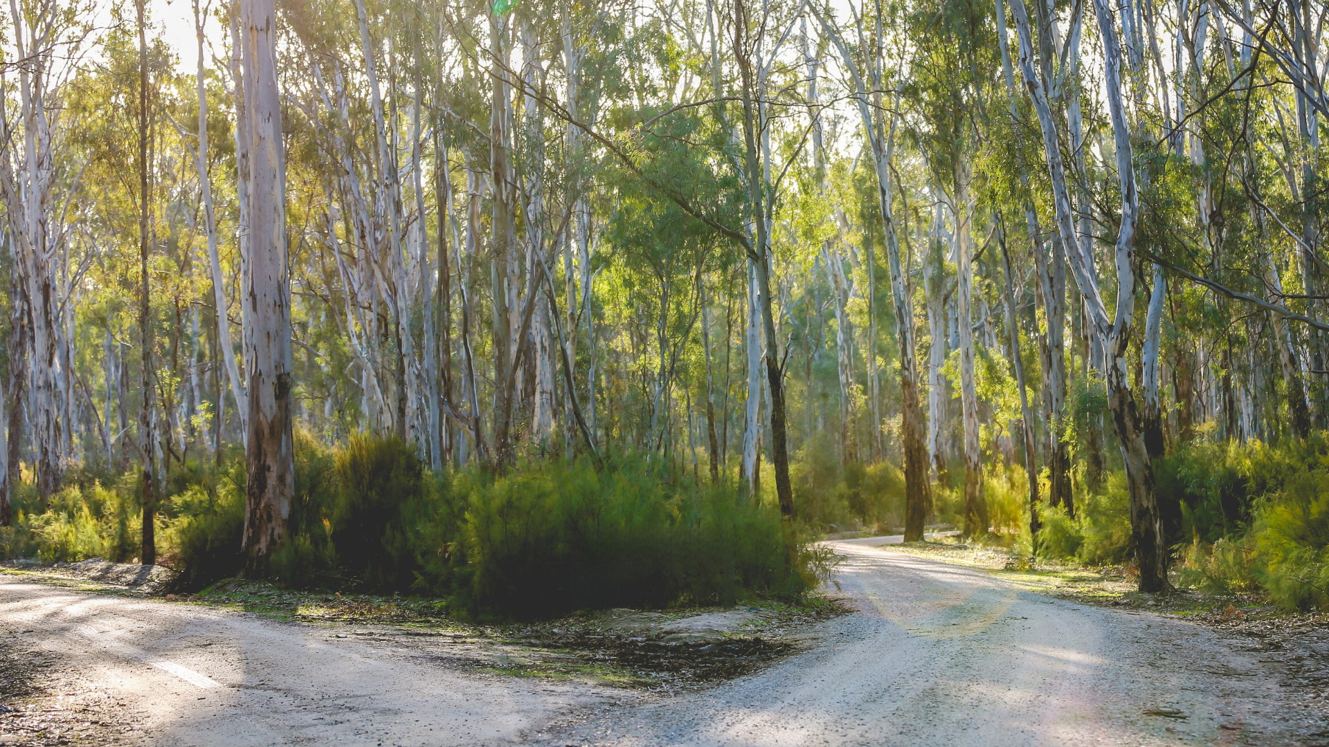mathoura edit.png