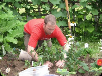 The Nico Garden