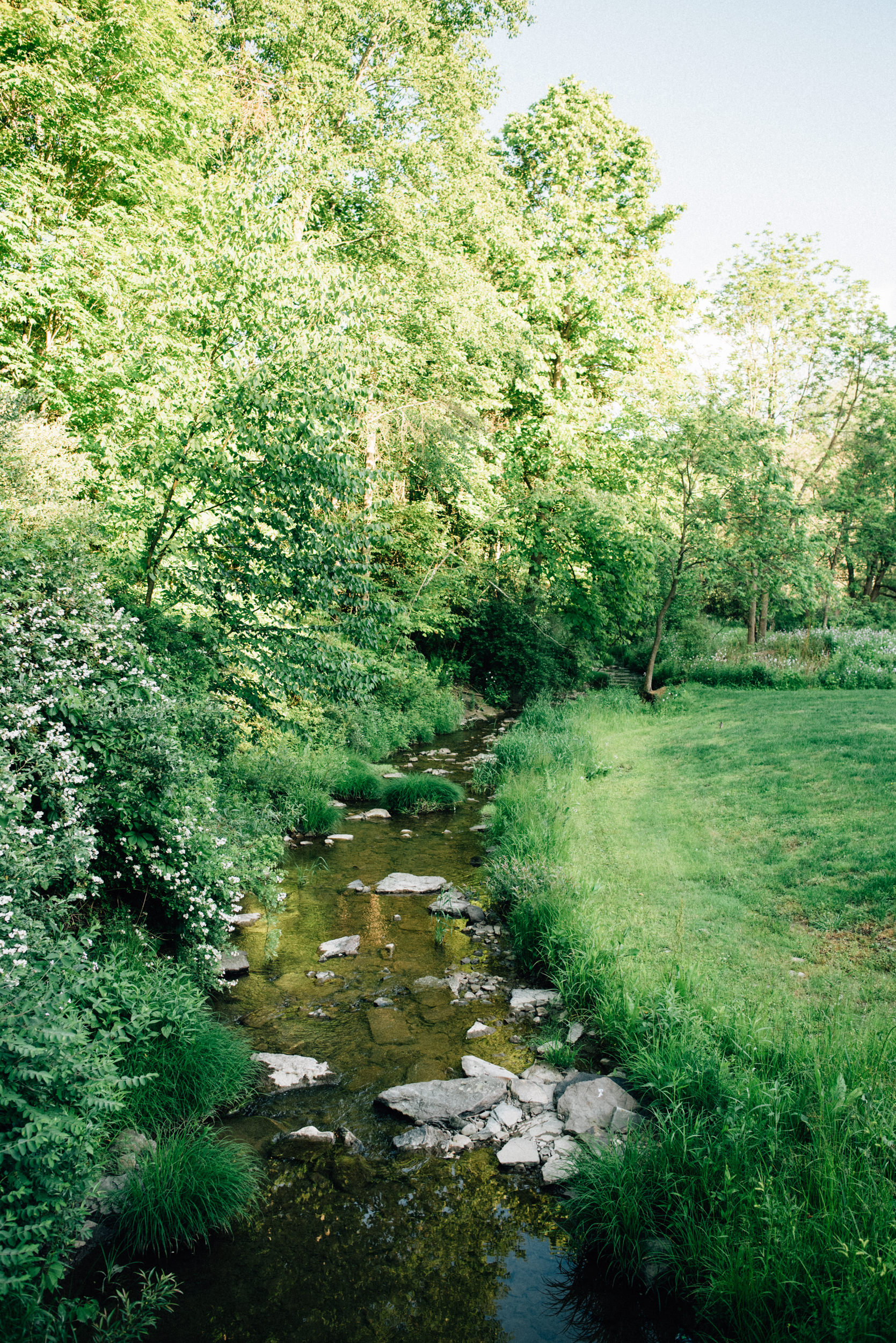 DSC_3982.jpg
