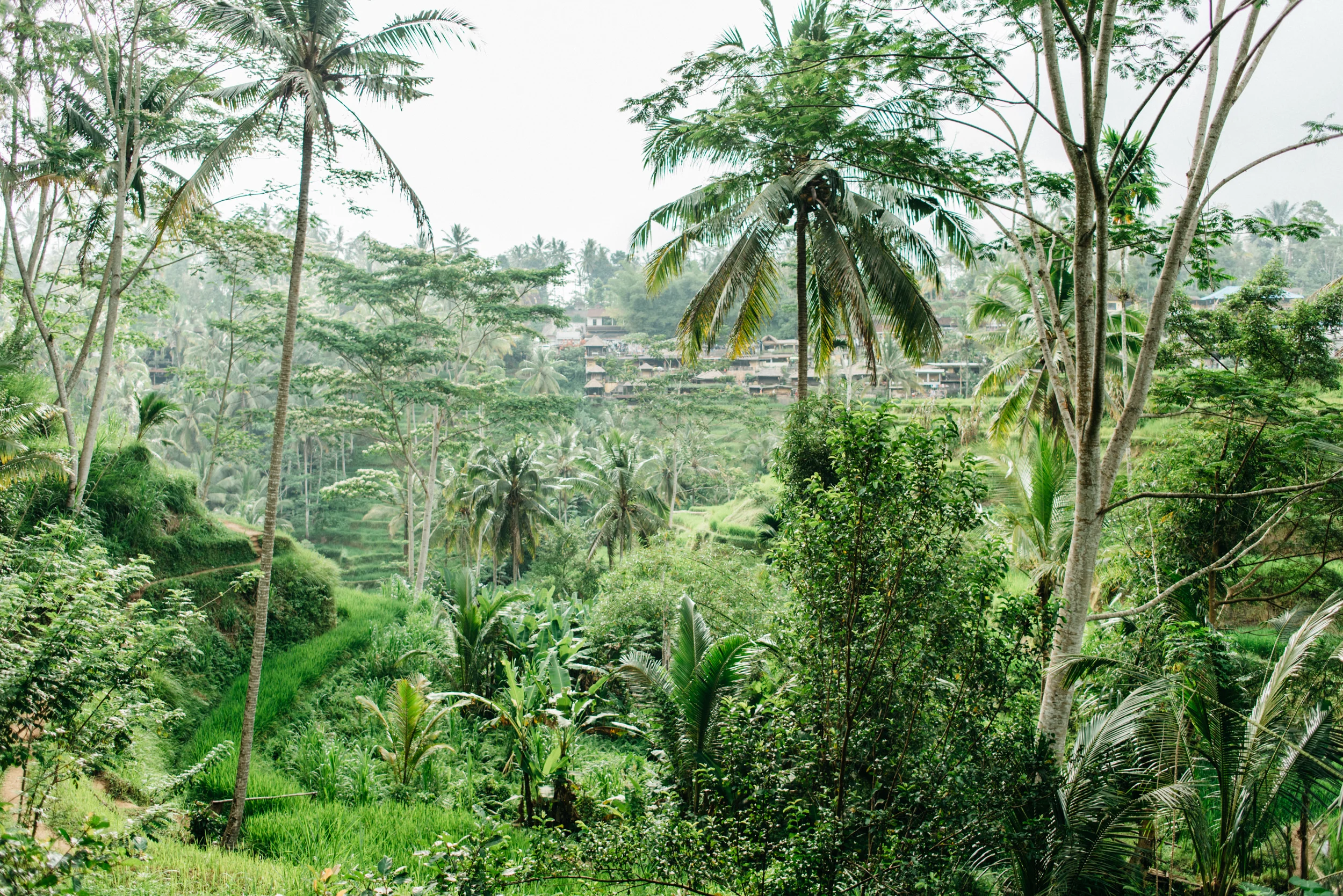 DSC_5183.jpg