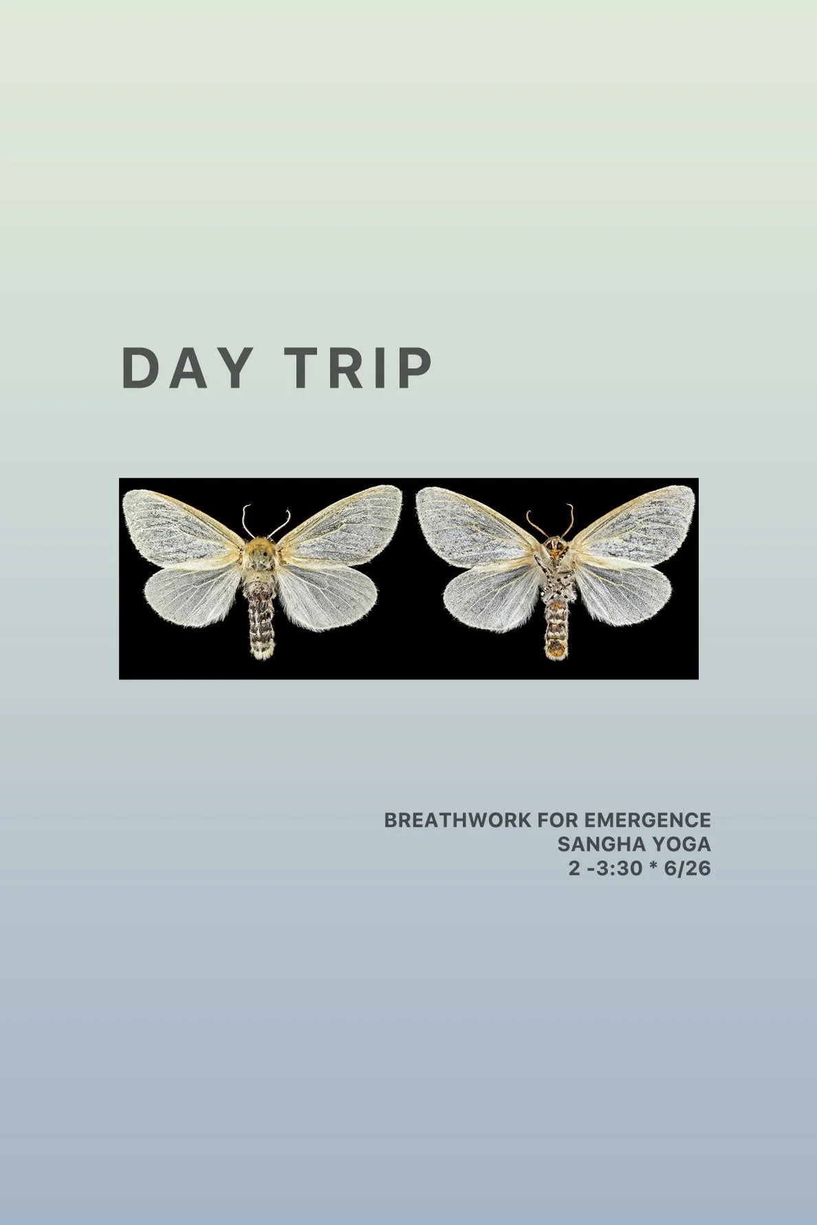 Day Trip: Breathwork for Emergence (CANCELED)