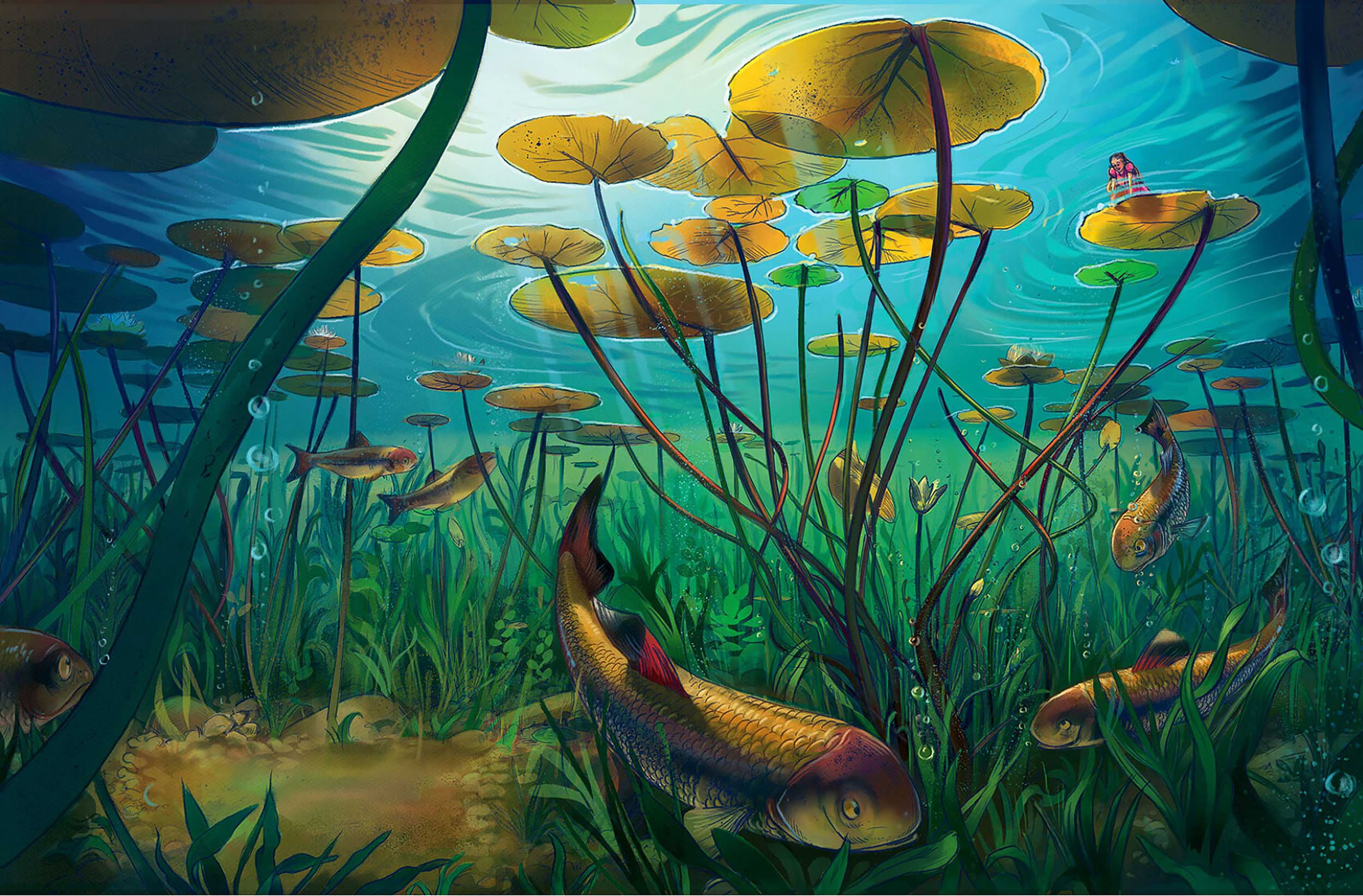 narrative_picturebook_illustration_tamara_campeau_underwater_scene.jpg