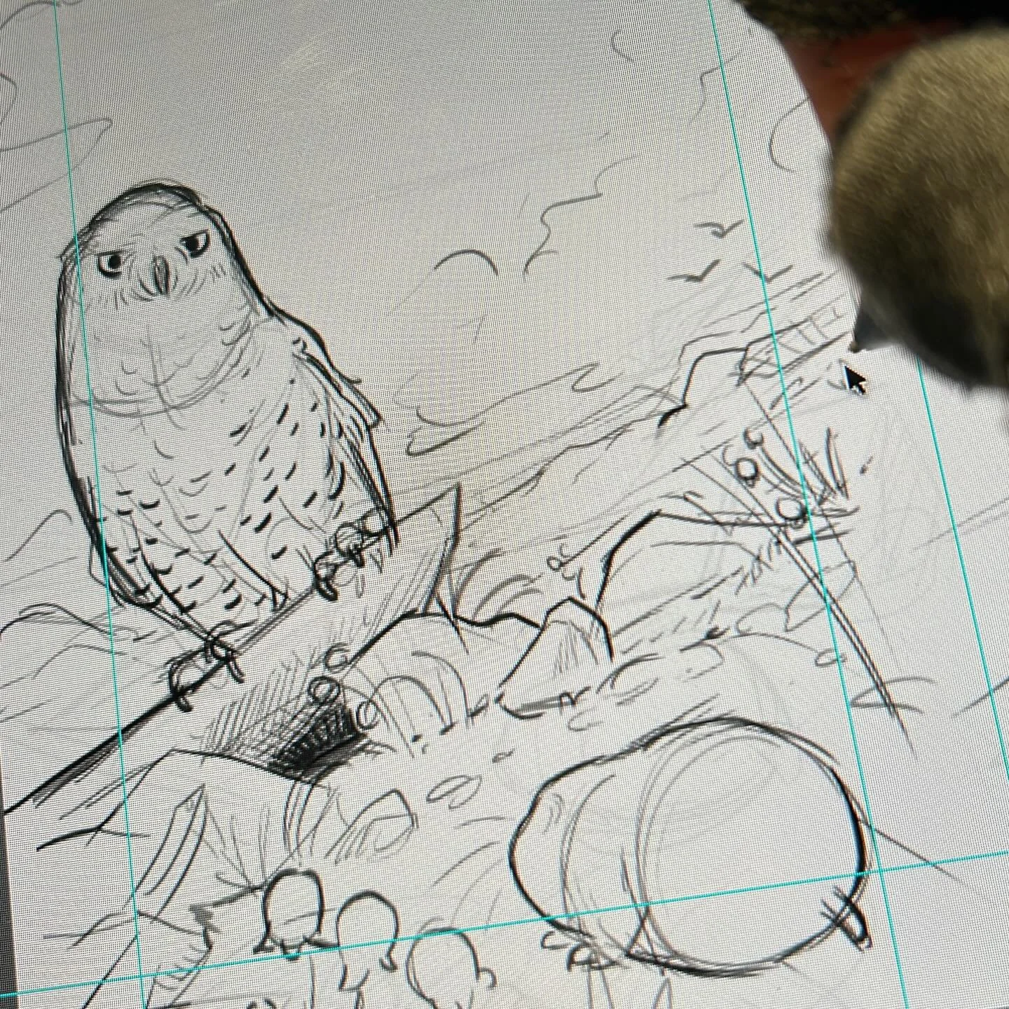 Behind the scenes ! #wip #kidlitillustration #kidlitartist #kidlit #behindthescenes🎬