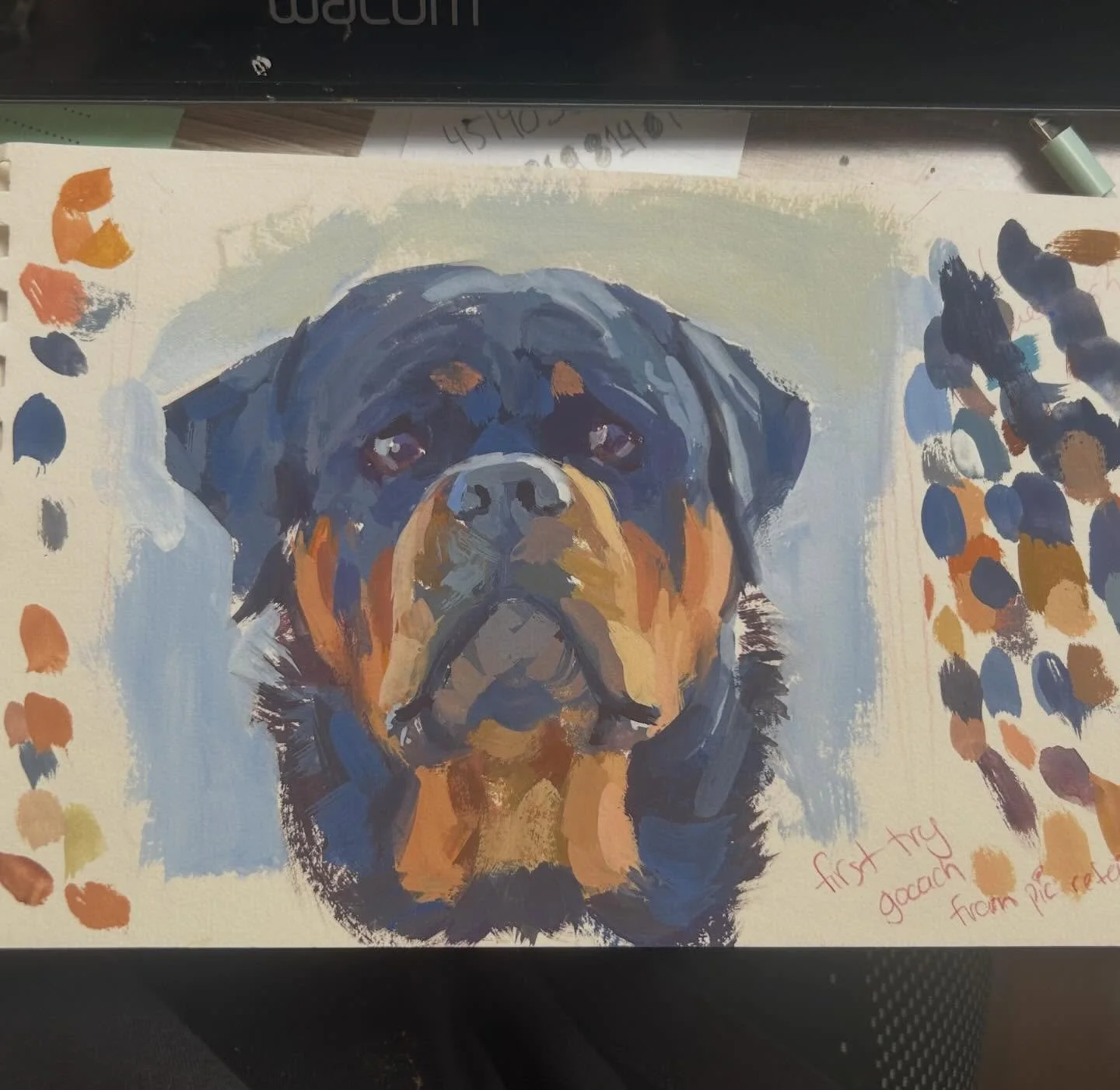 Another gouach studie of my boy Bear #artist #paintings #gouache