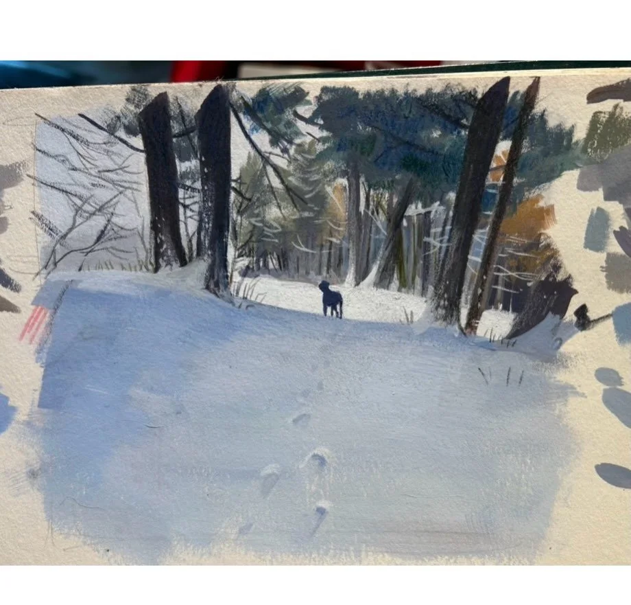 Found these gouache studies from last winter while going through some old work.

I&rsquo;d never really used gouache before and had heard plenty of mixed reviews, but I ended up loving it. There&rsquo;s something about the opacity and matte finish th