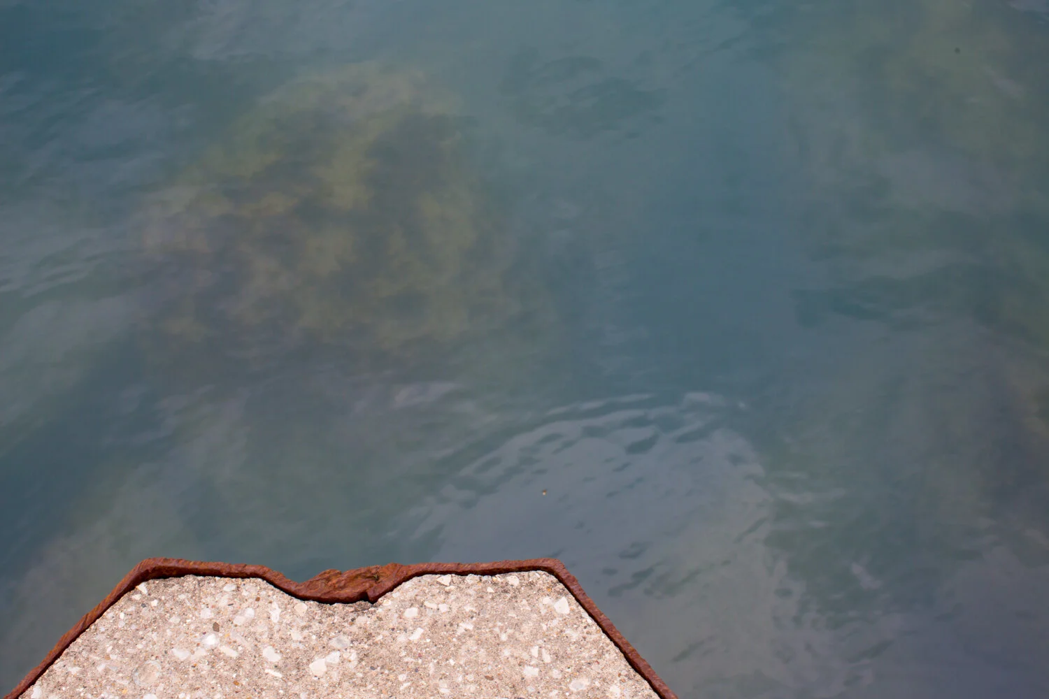 331A9355.jpg