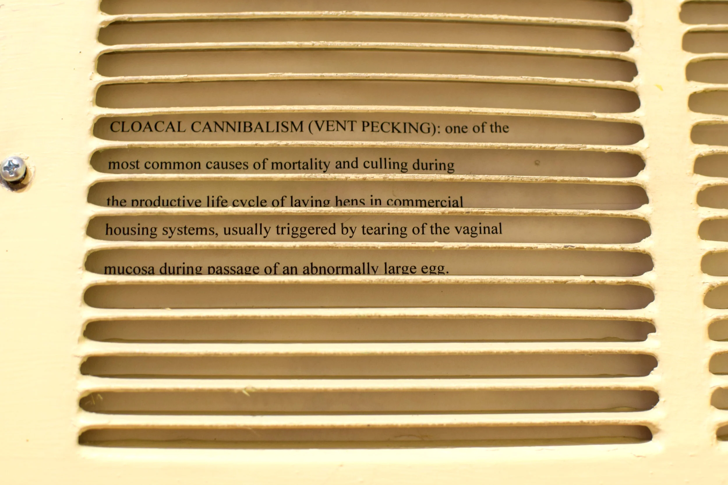 DSC_0056.JPG