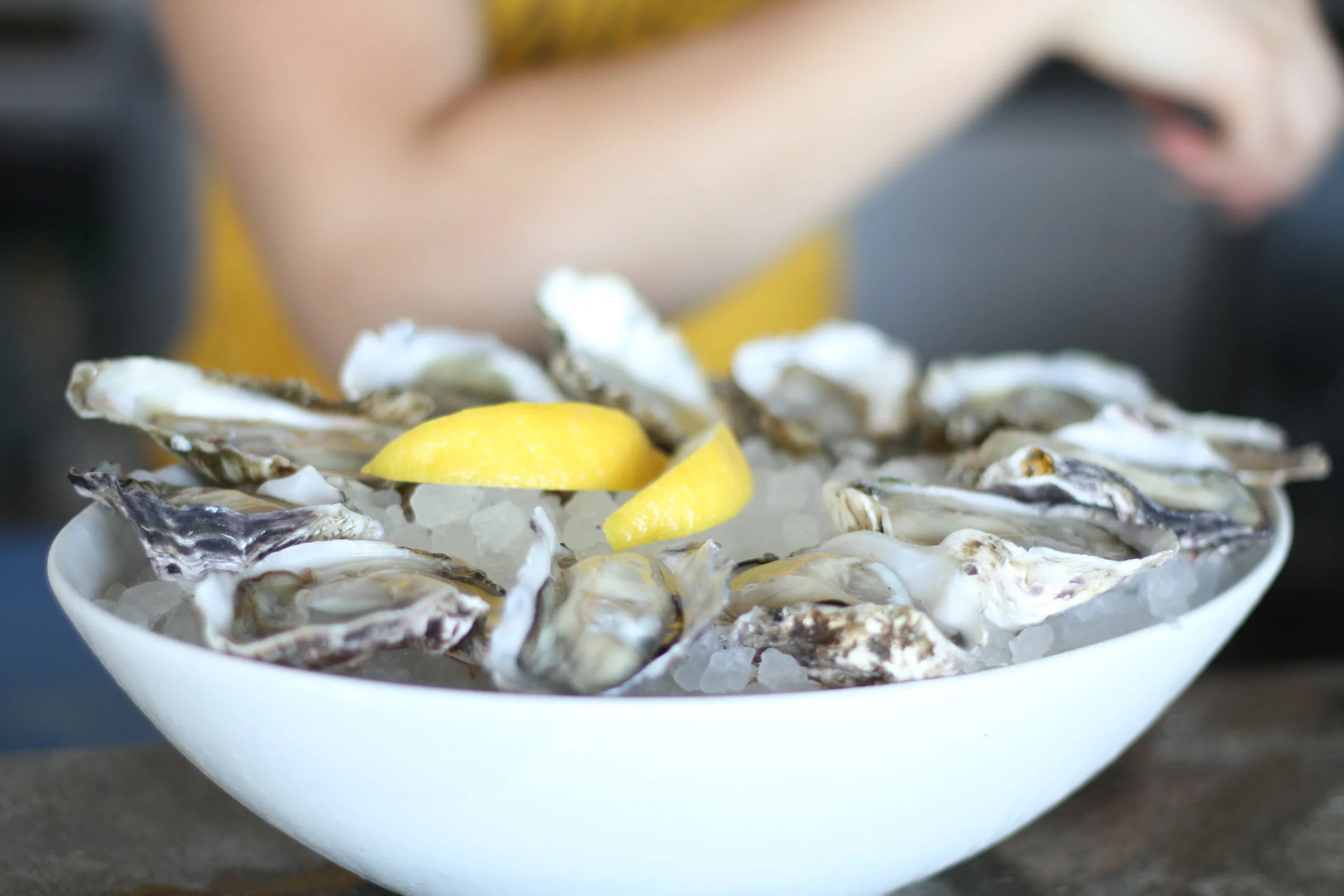 Oysters.JPG