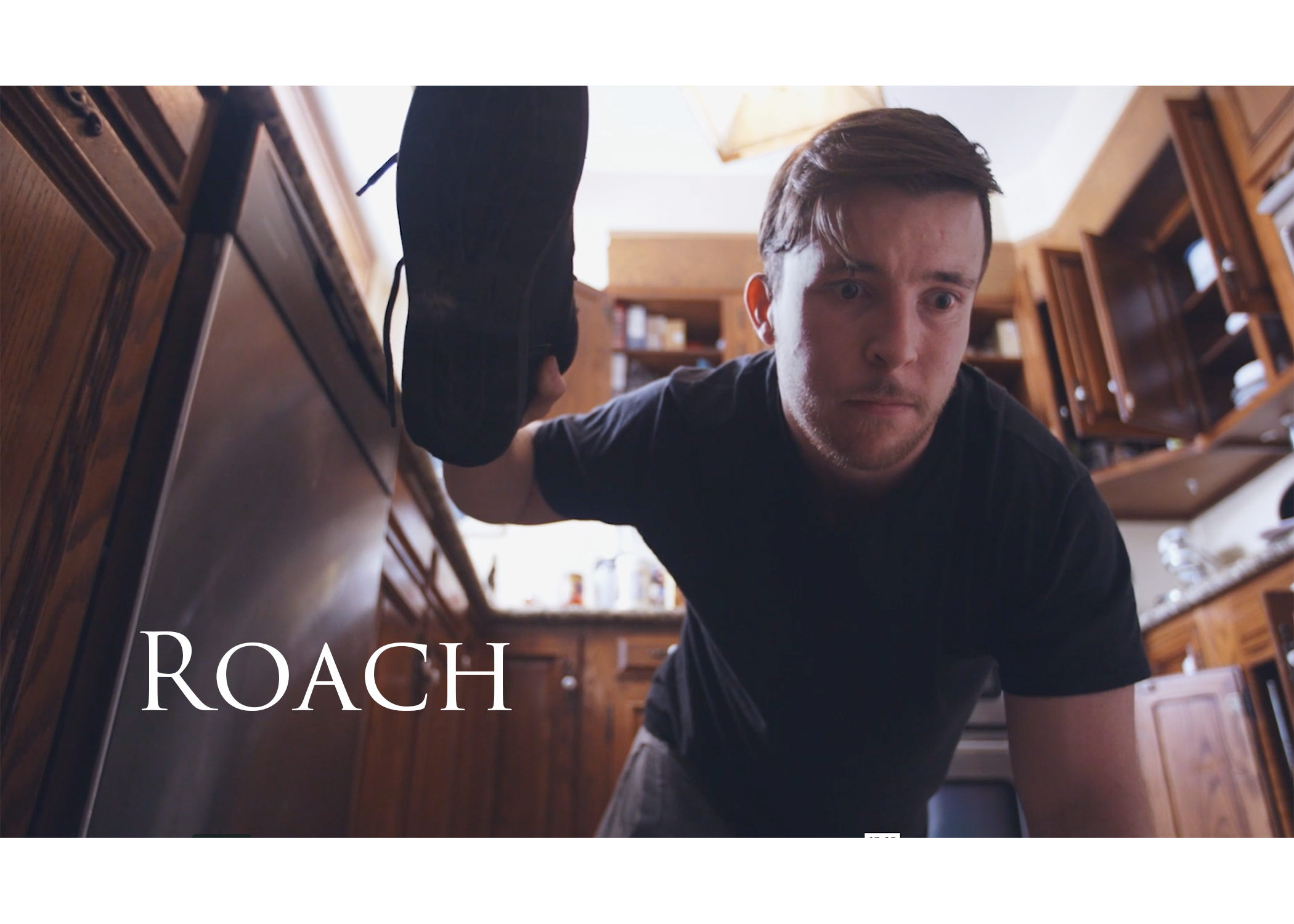 Roach Poster.png