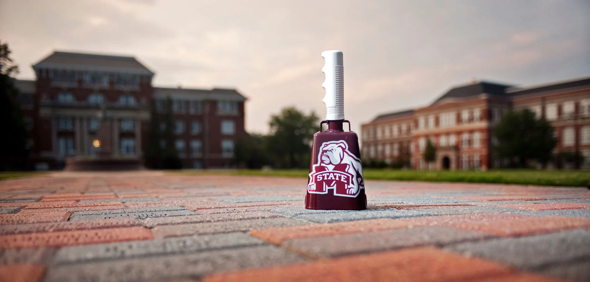 Cowbell_Drill_Field_20100617_M3B0158.jpg