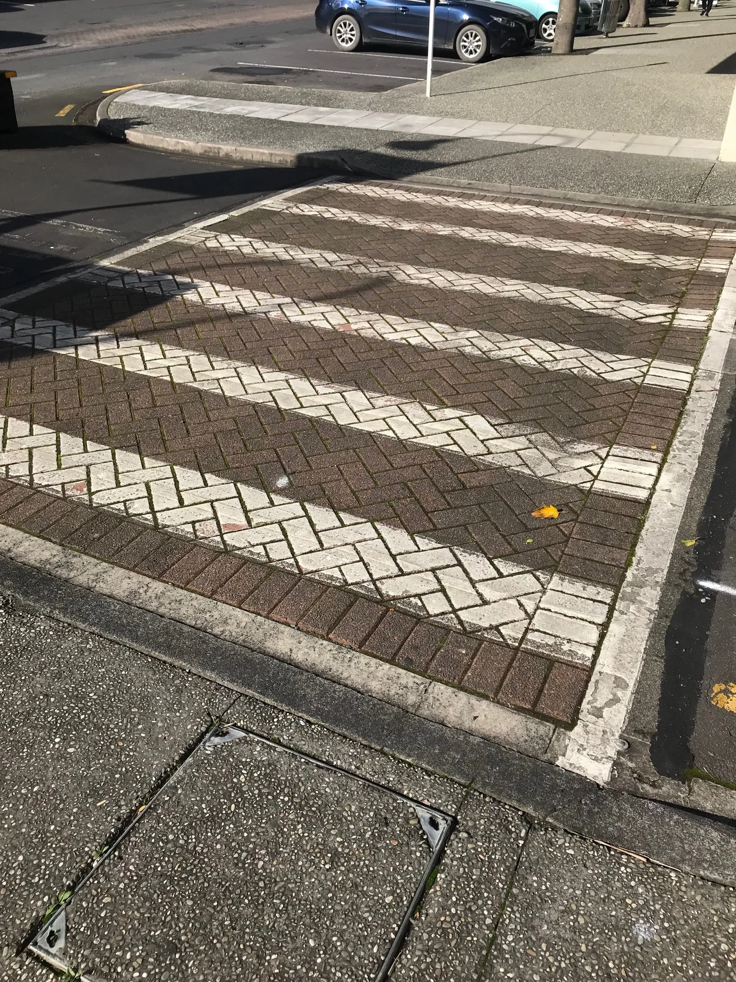 crossing.jpg