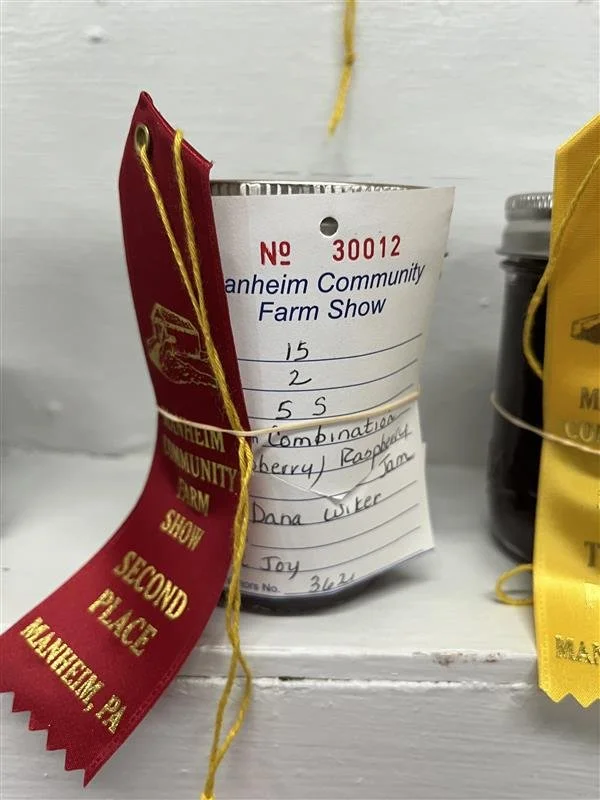 Submitting to Festivals, Award Winning Jam and the Next Project
