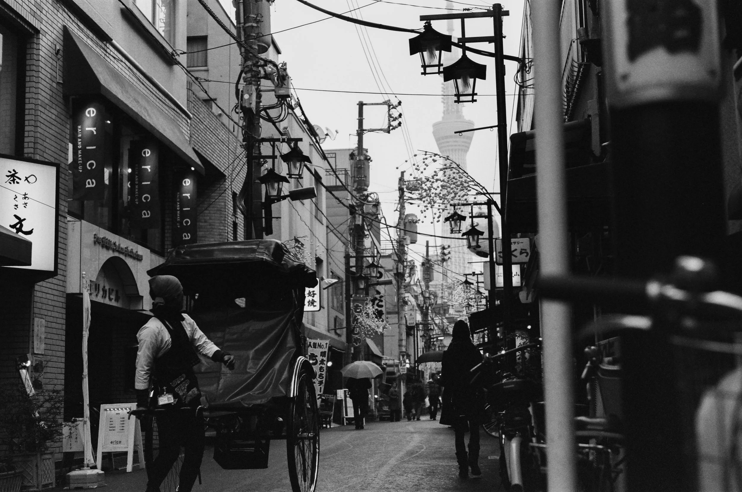 JPN2017_GRADED-7.jpg