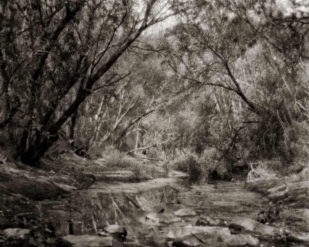 Sorranopark#5.jpg