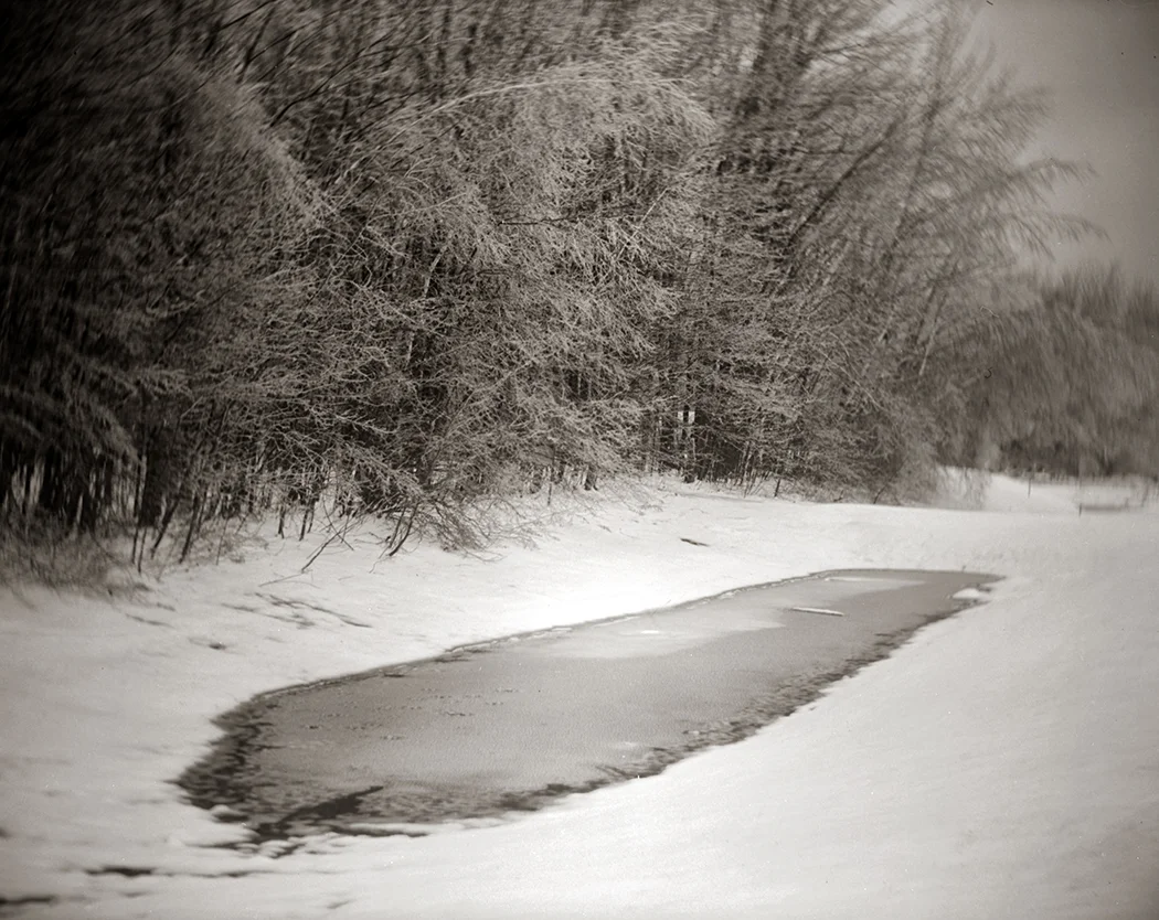 Fin hiver #2.jpg