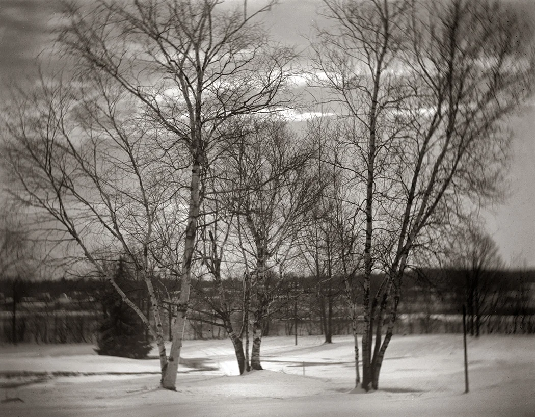 Fin hiver #4.jpg